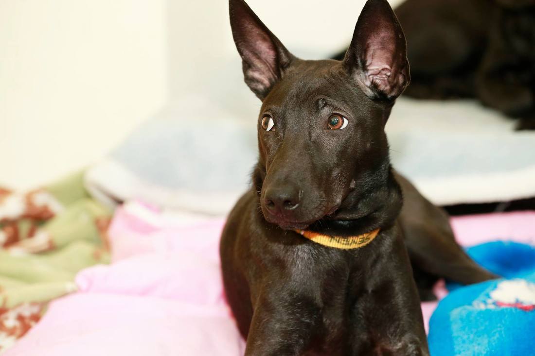 福岛核电站修建冻土墙防渗水遭质疑 或引发危机-AG亚娱集团官方(图1) AG亚娱集团