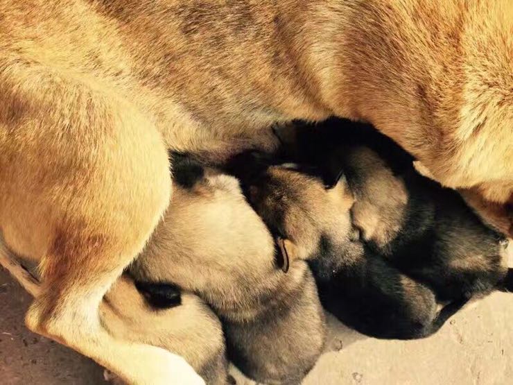 AG亚娱集团官方