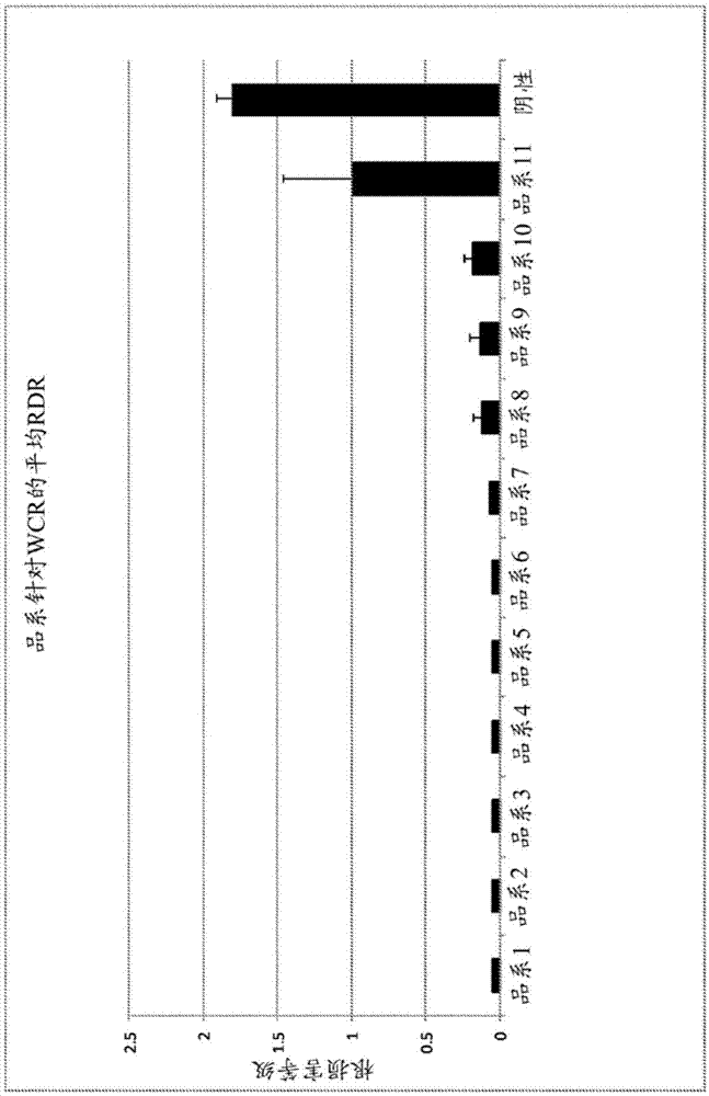 精准扶贫:满足以下条件的农民可以领取补贴资金5000元“AG亚娱集团官方”(图2) ag亚娱官网