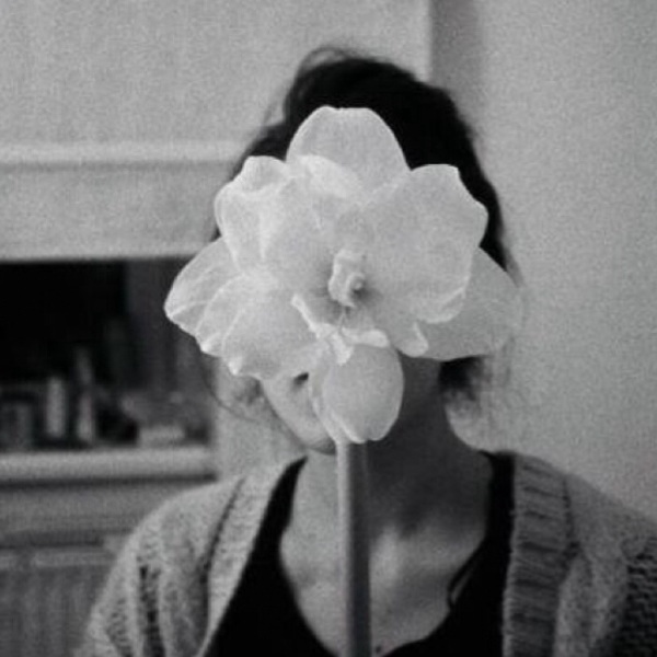 ag亚娱官网:大豆价格多少钱一斤?8月29日大豆价格最新行情走势(图1) AG亚娱集团官方