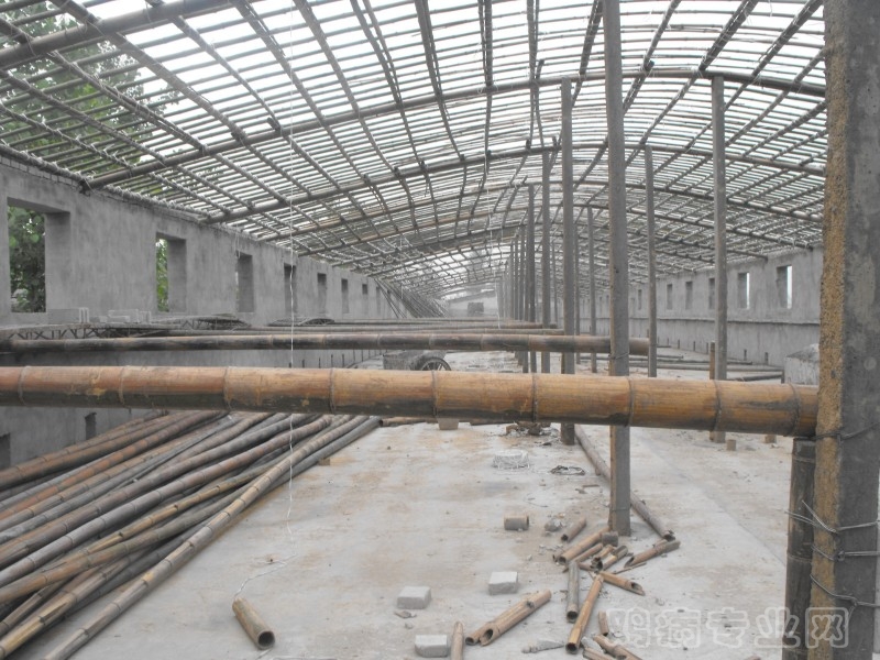 逃跑计划上海圣诞开趴!和粉丝共同完成“爱的礼物”|AG亚娱集团官方(图1) AG亚娱集团