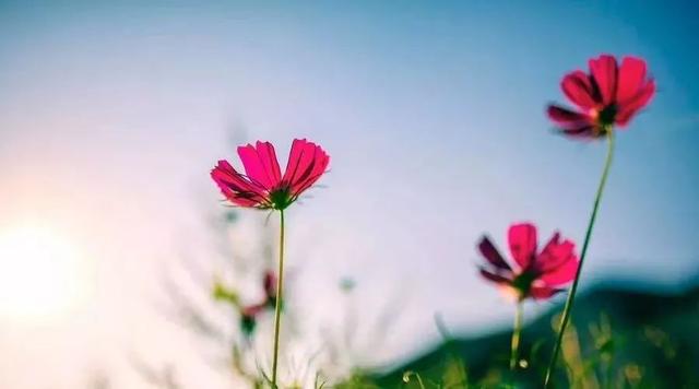 华南理工大学建筑设计研究院顺利承办2016“结构前沿”论坛_ag亚娱官网(图1) AG亚娱集团