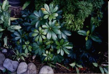 AG亚娱集团官方