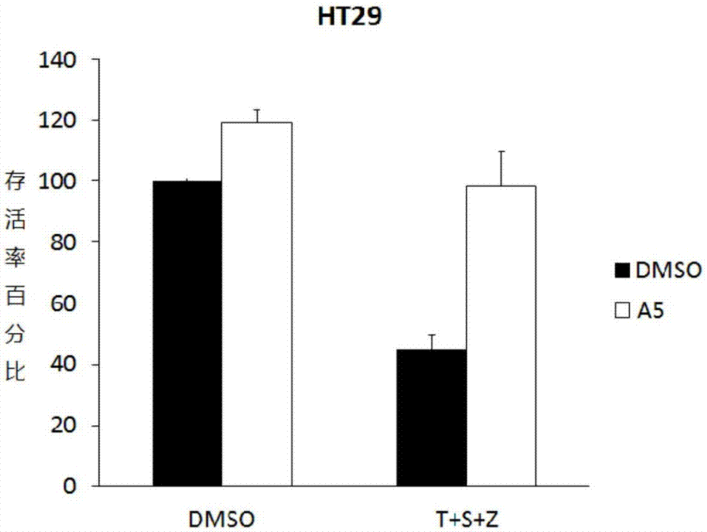 AG亚娱集团官方