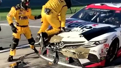 火参果多少钱一斤?价格贵吗?火参果的功效和作用,怎么吃?|AG亚娱集团官方(图4) ag亚娱官网