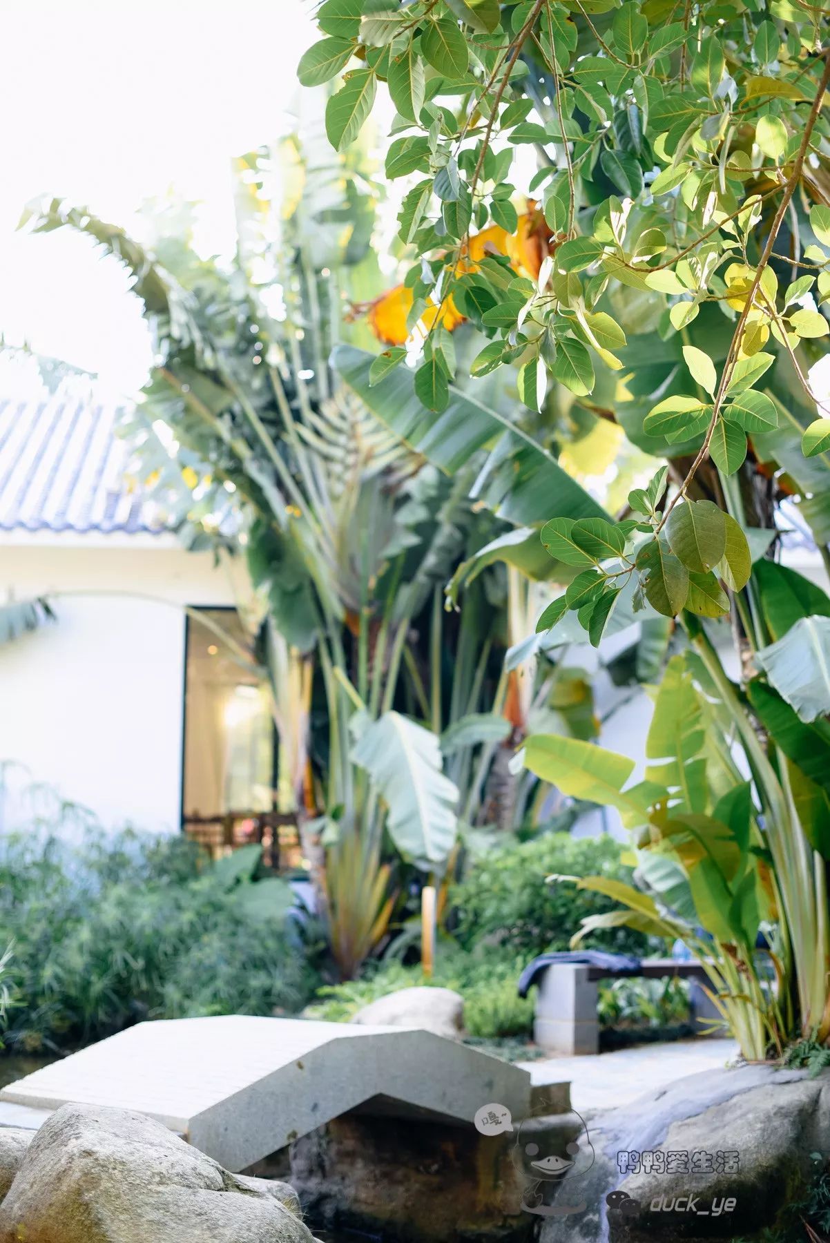 AG亚娱集团官方