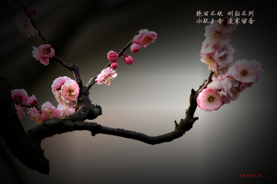 好消息!2020年新土地管理法,农民可享受这三大好处!-ag亚娱官网(图1) AG亚娱集团官方