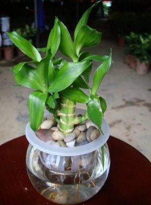 AG亚娱集团官方