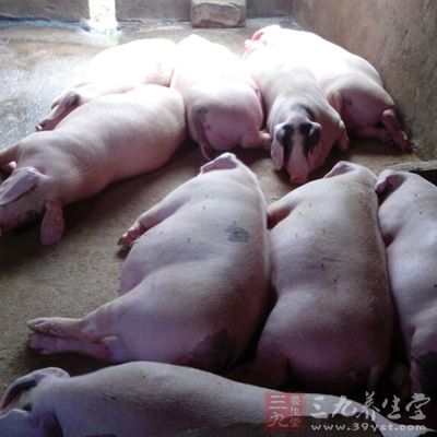 当前小麦价格多少钱一斤?2018小麦收购价格行情及后期走势:AG亚娱集团官方(图3) AG亚娱集团官方