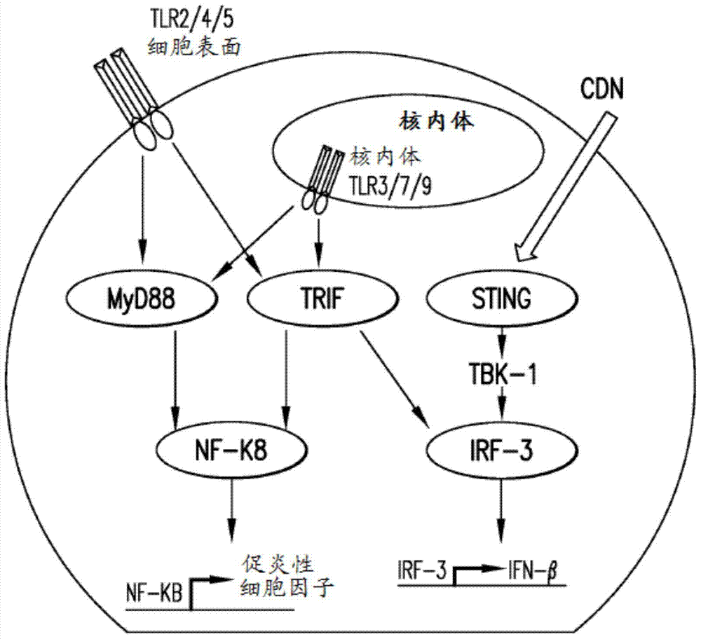 【ag亚娱官网】农村一户多宅想确权分户要怎么做?(附申请流程)(图3) AG亚娱集团官方
