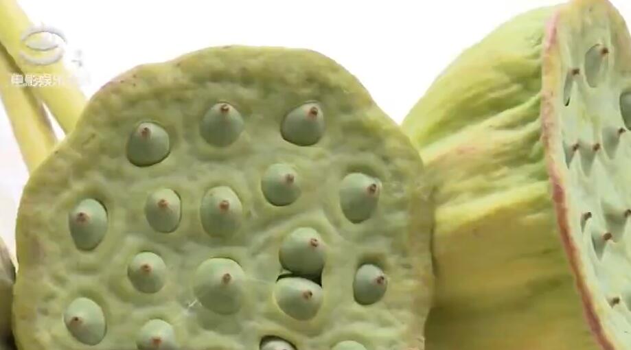 AG亚娱集团官方