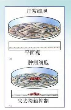 AG亚娱集团官方