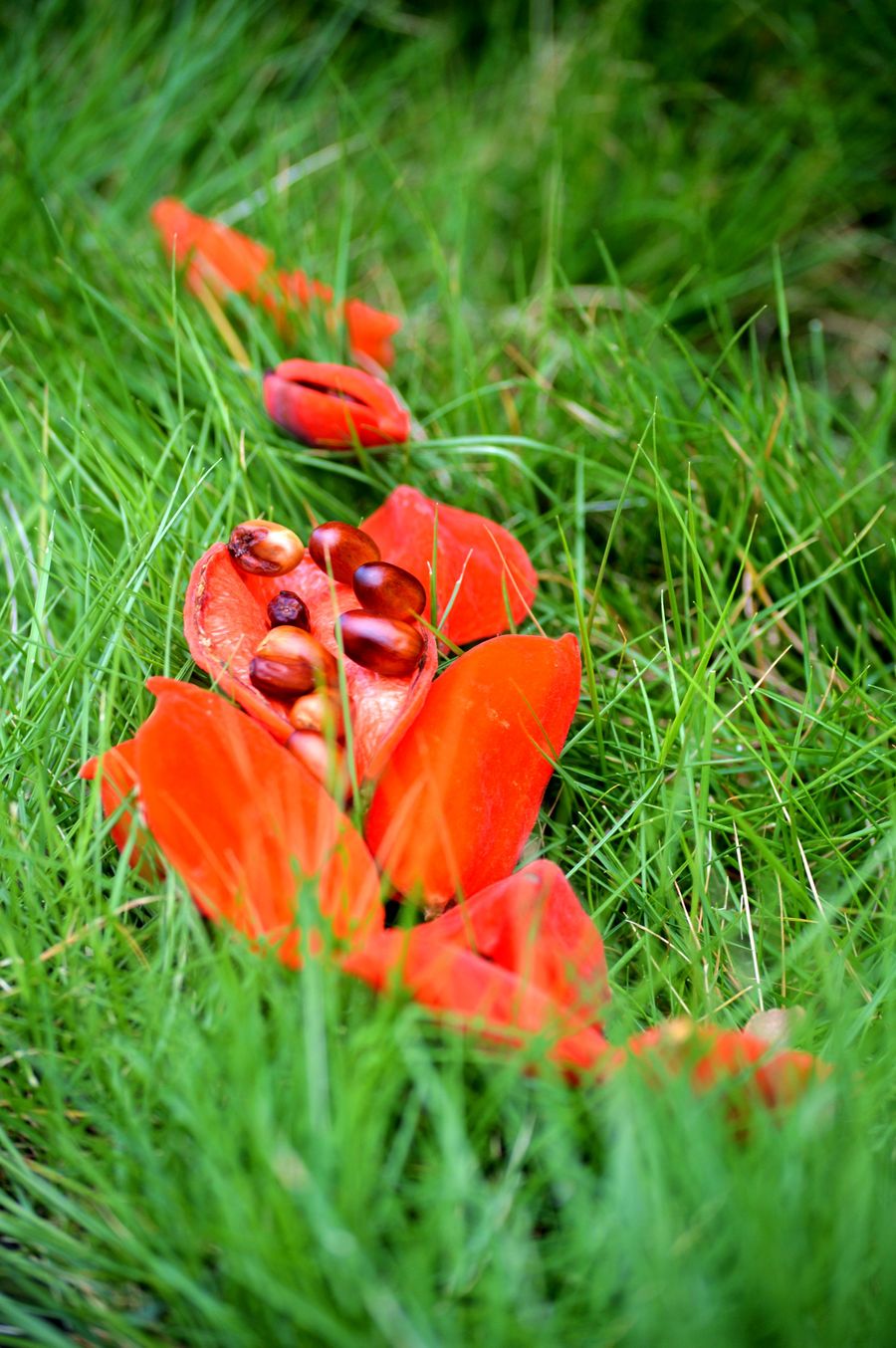 AG亚娱集团官方