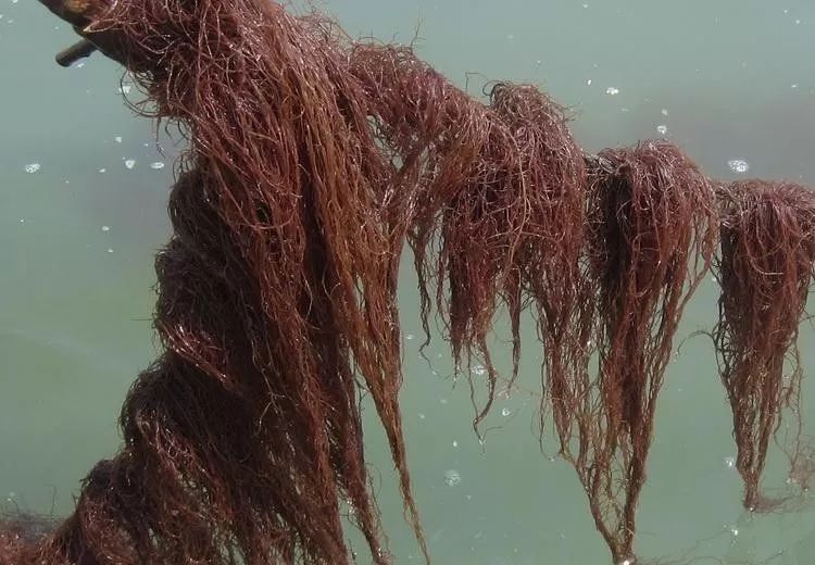 AG亚娱集团官方